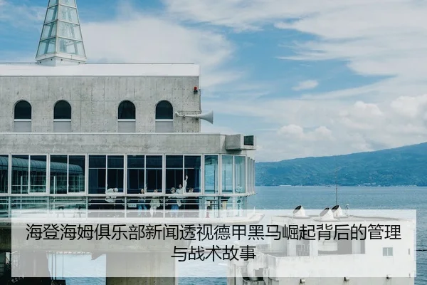 海登海姆俱乐部新闻透视德甲黑马崛起背后的管理与战术故事